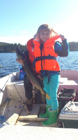 Gäddfiske